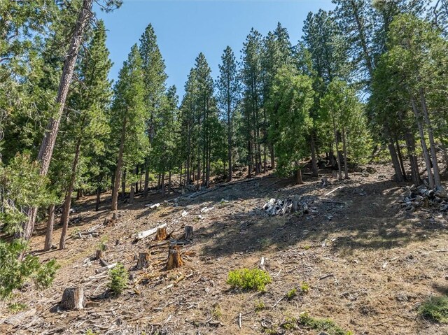 7343 Yosemite Park Way, Yosemite, CA 95389 - photo 2
