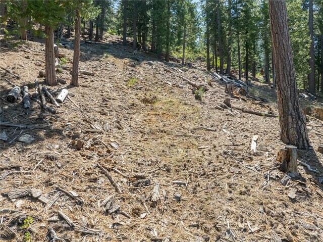 7343 Yosemite Park Way, Yosemite, CA 95389 - photo 5