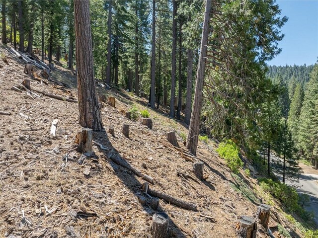 7343 Yosemite Park Way, Yosemite, CA 95389 - photo 6
