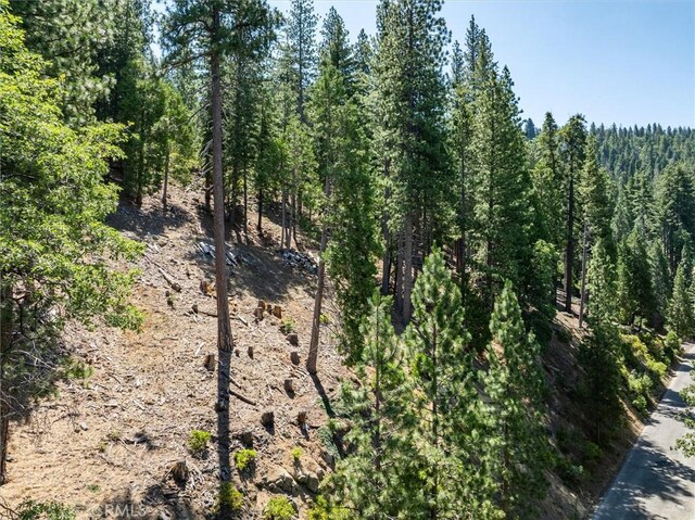 7343 Yosemite Park Way, Yosemite, CA 95389 - photo 9