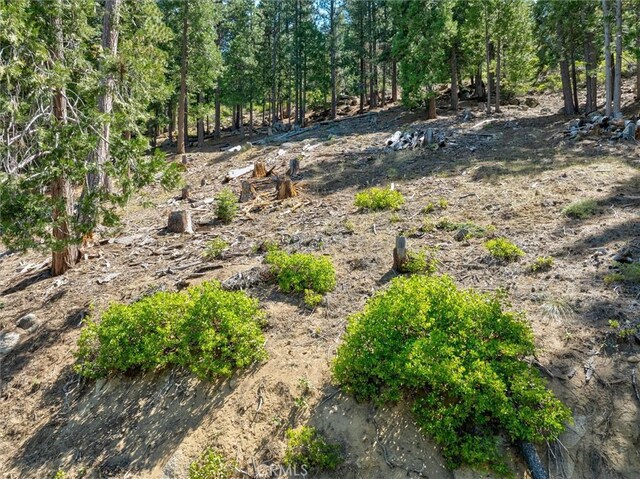 7343 Yosemite Park Way, Yosemite, CA 95389 - photo 12