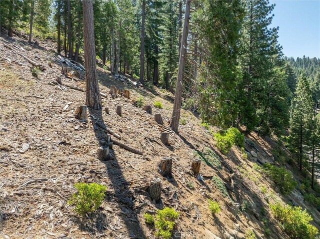 7343 Yosemite Park Way, Yosemite, CA 95389 - photo 8