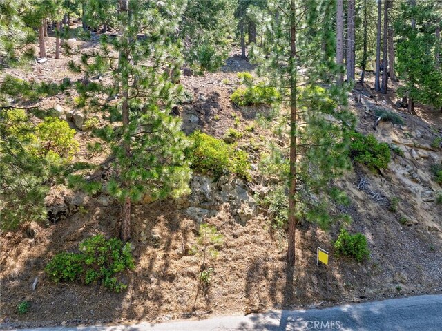 7343 Yosemite Park Way, Yosemite, CA 95389 - photo 15