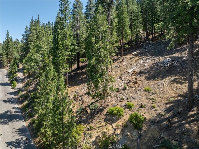 7343 Yosemite Park Way, Yosemite, CA 95389 - photo 7
