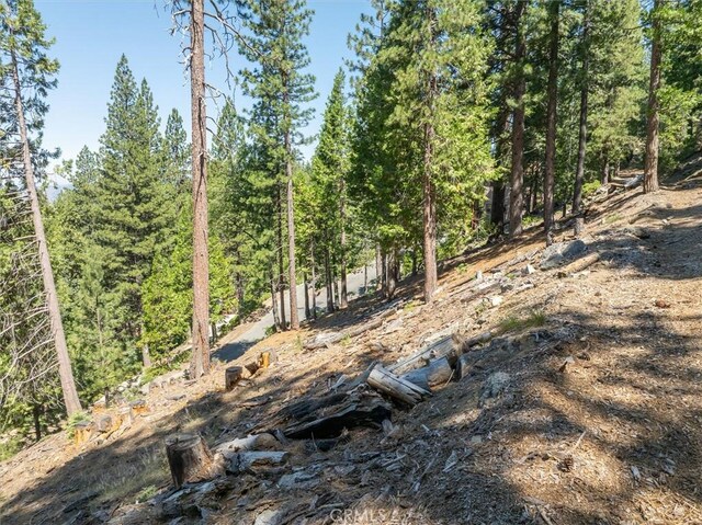 7343 Yosemite Park Way, Yosemite, CA 95389 - photo 3