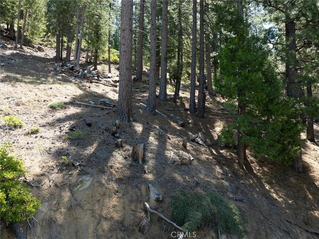 7343 Yosemite Park Way, Yosemite, CA 95389 - photo 11