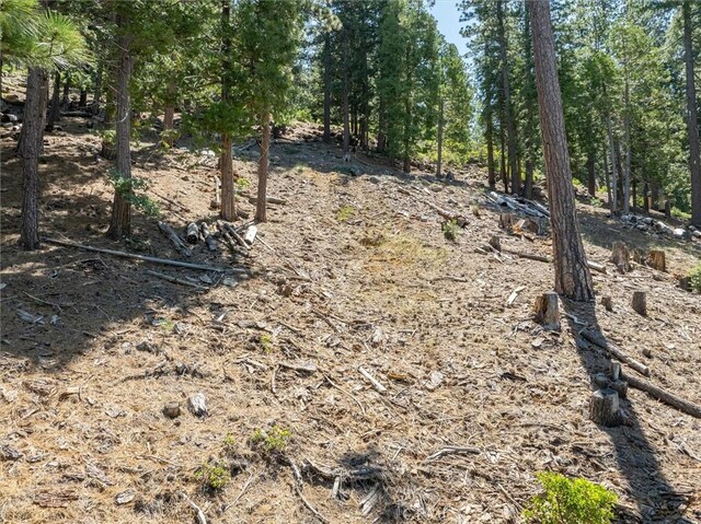 7343 Yosemite Park Way, Yosemite, CA 95389 - photo 10