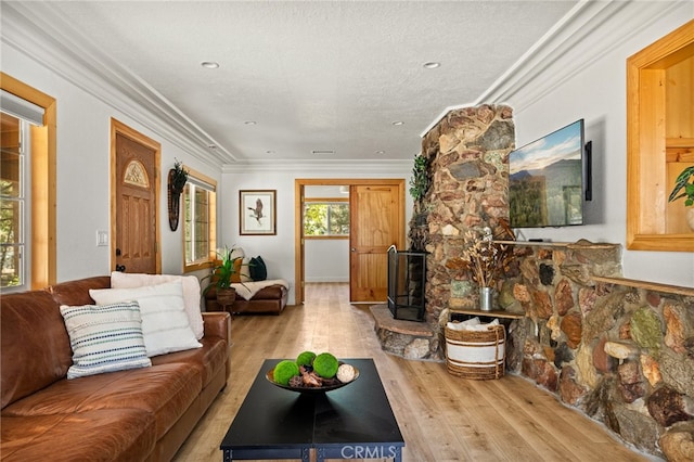 living room with ornamental molding, a textured ceiling, and light wood-type flooring