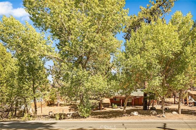 view of property hidden behind natural elements