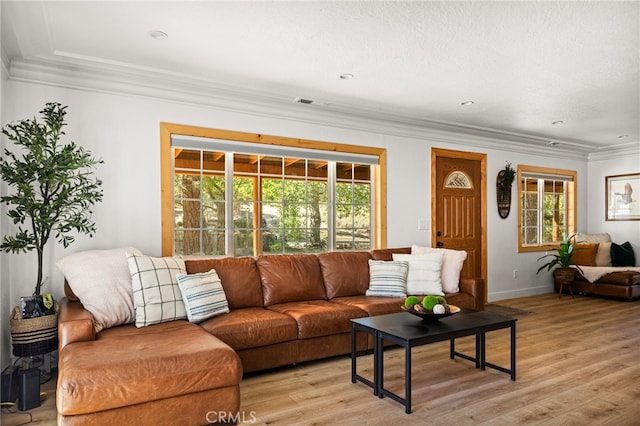 living room featuring crown molding, a textured ceiling, and light hardwood / wood-style floors