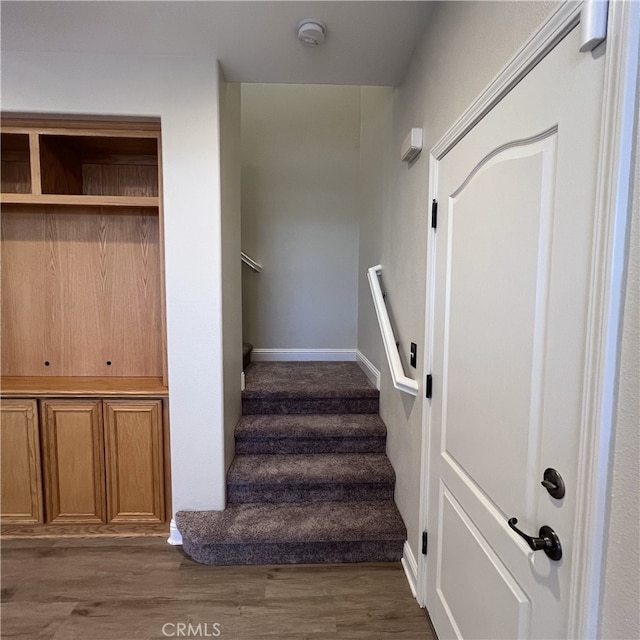 staircase featuring hardwood / wood-style floors