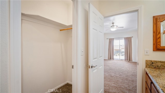 walk in closet featuring carpet flooring and ceiling fan