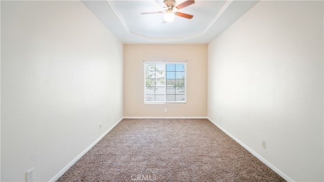 unfurnished room featuring a tray ceiling and carpet