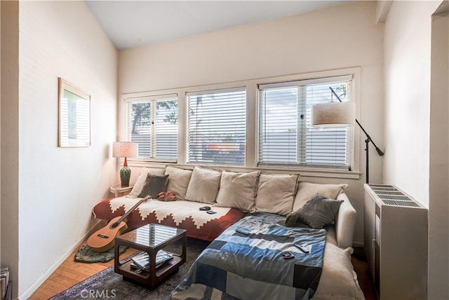 living room with hardwood / wood-style flooring