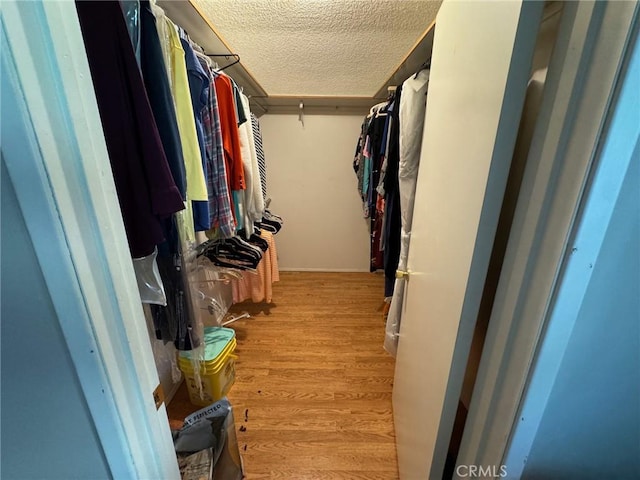 walk in closet featuring light hardwood / wood-style floors