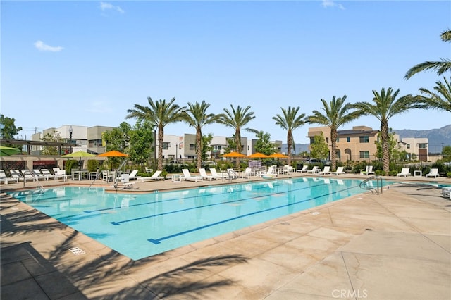 3570 E Peckham Paseo Unit 3, Ontario, CA 91761 - community pool with a patio area