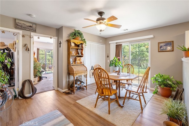 dining room with light hardwood / wood-style floors, a wealth of natural light, and ceiling fan