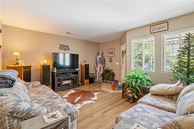 living room featuring hardwood / wood-style floors