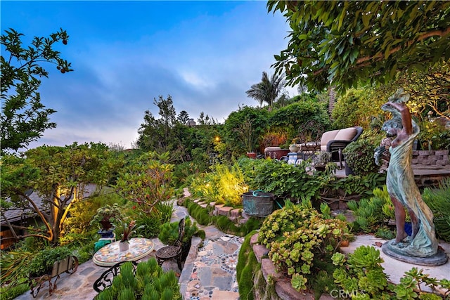 view of yard with a patio