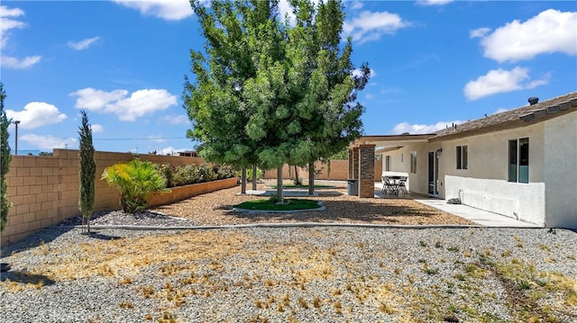 view of yard featuring a patio