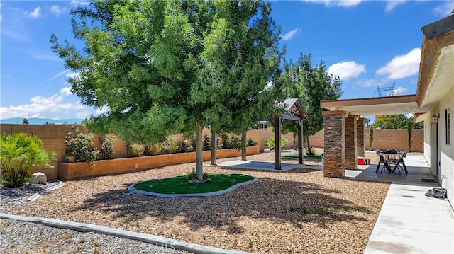 view of yard featuring a patio