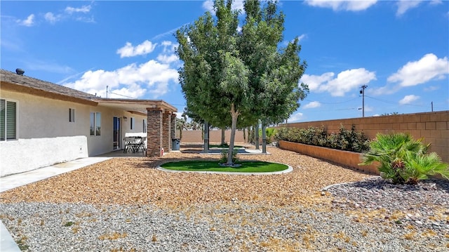 view of yard with a patio