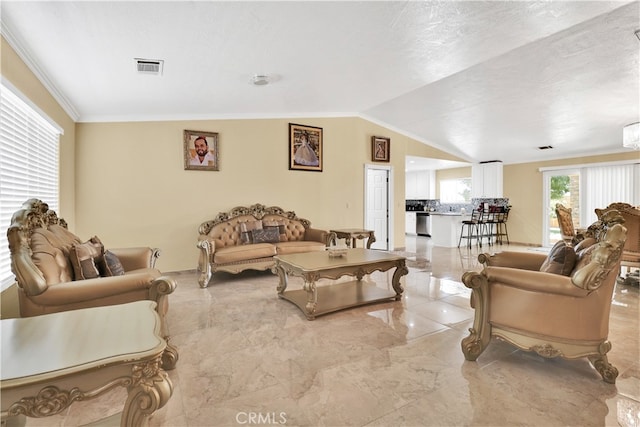 living room with lofted ceiling, ornamental molding, and a textured ceiling