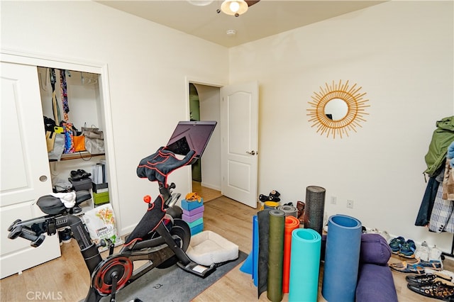 exercise room with light hardwood / wood-style floors