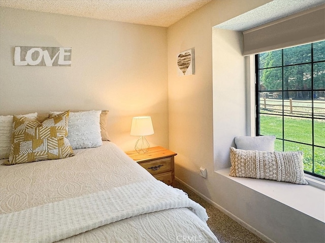 711 Cienega Rd Unit B, Big Bear Lake, CA 92315 - carpeted bedroom featuring a textured ceiling and multiple windows