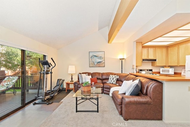 711 Cienega Rd Unit B, Big Bear Lake, CA 92315 - living room featuring light carpet and vaulted ceiling