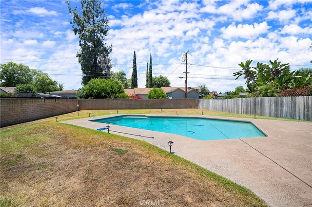 view of swimming pool with a patio area and a lawn