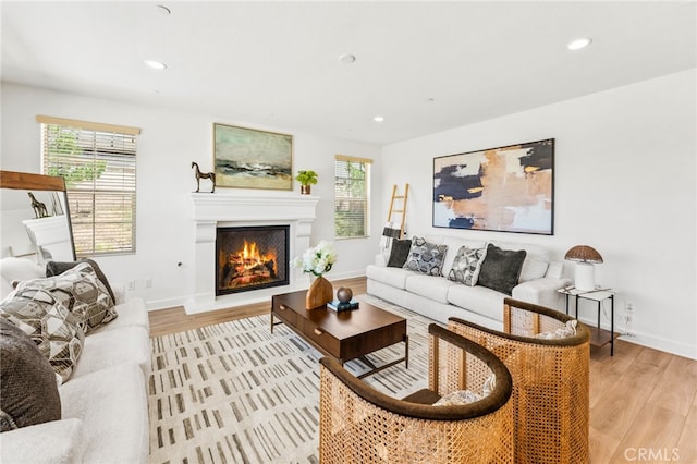 living room with light hardwood / wood-style flooring