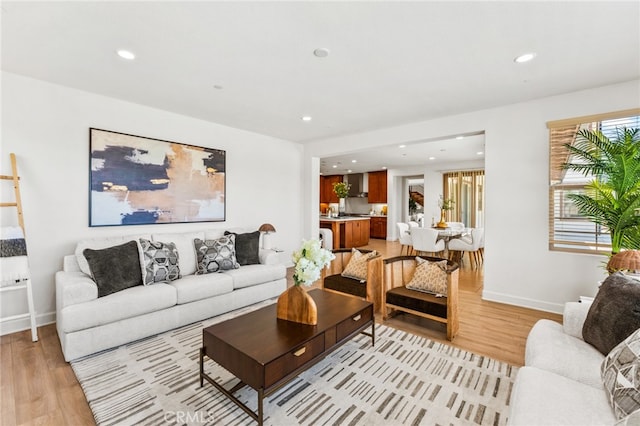 living room featuring light hardwood / wood-style floors