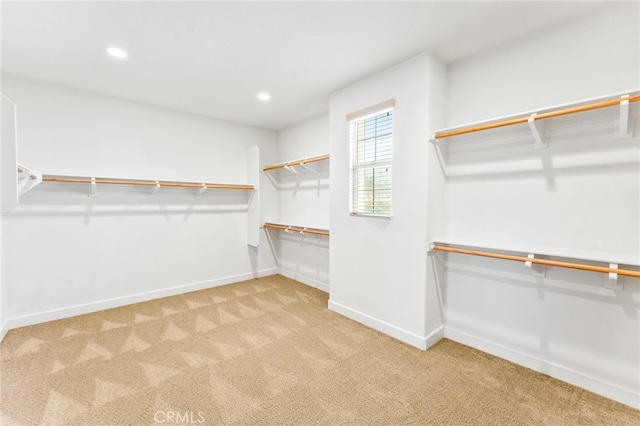 spacious closet with light colored carpet