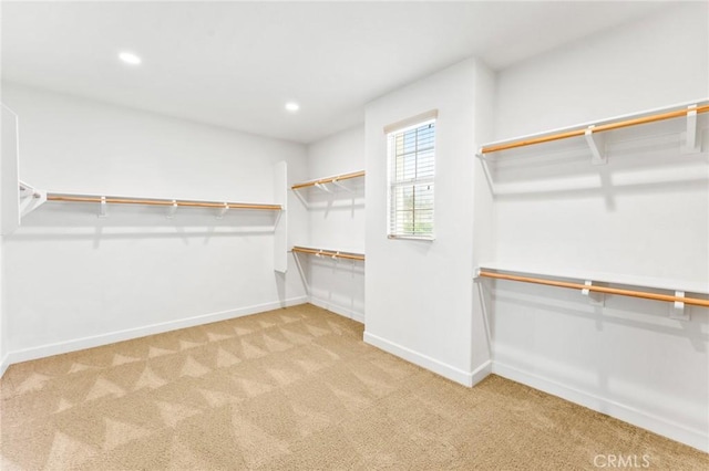 spacious closet featuring carpet floors