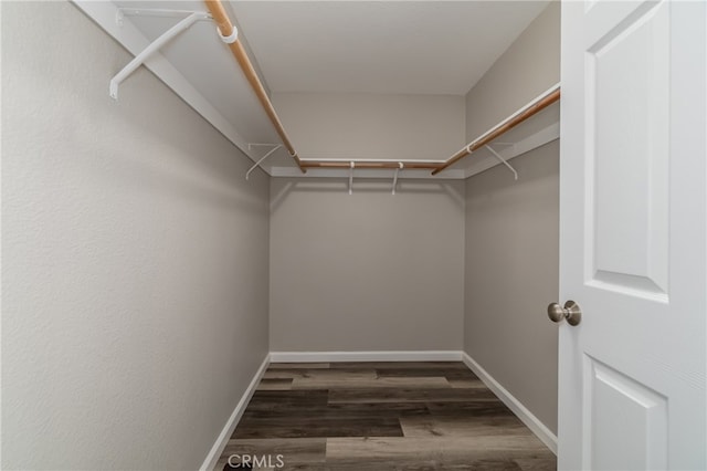 spacious closet with dark hardwood / wood-style flooring