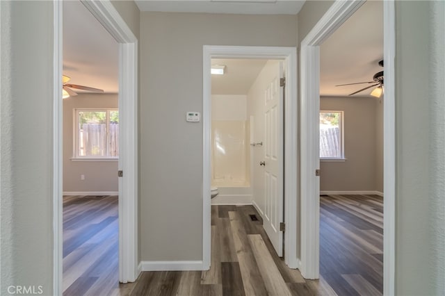 hall featuring hardwood / wood-style floors