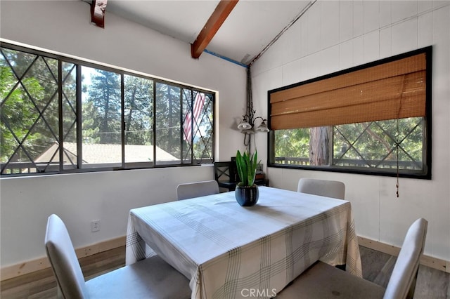 dining room with a healthy amount of sunlight and hardwood / wood-style flooring