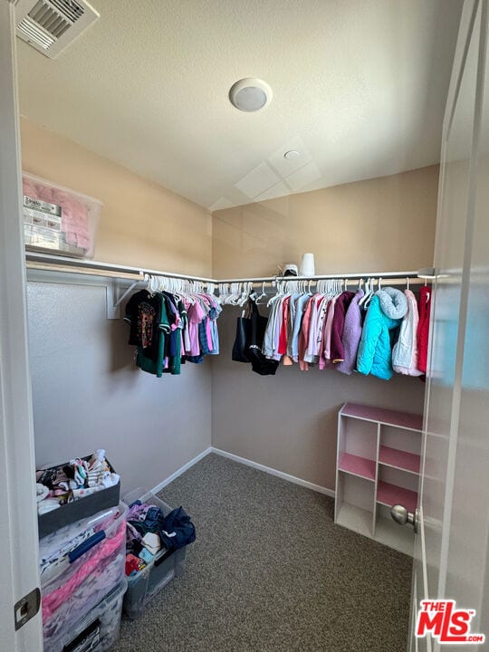 spacious closet with carpet