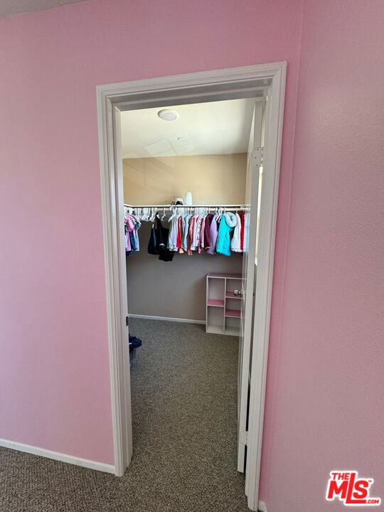 walk in closet featuring dark carpet