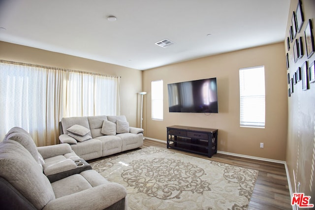 living room featuring hardwood / wood-style flooring and a wealth of natural light