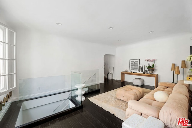 living room with wood-type flooring