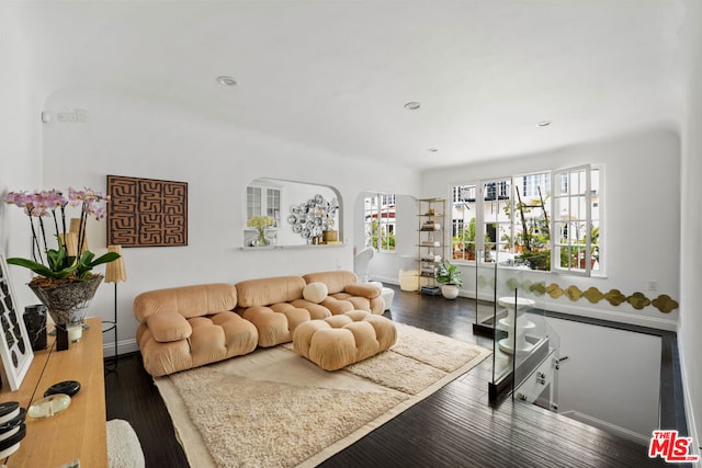 living room featuring dark hardwood / wood-style flooring