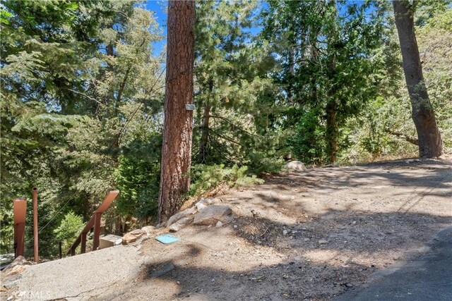 25626 Mid Ln, Twin Peaks, CA 92391 - photo 14