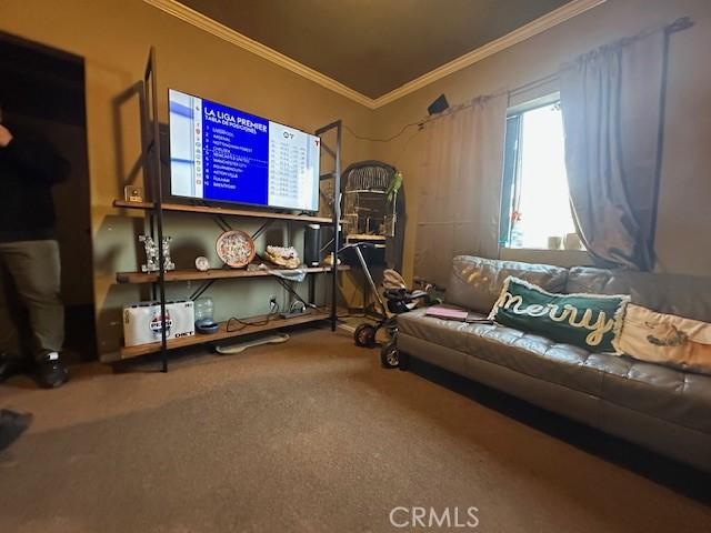 sitting room featuring carpet floors and crown molding