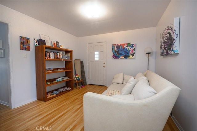 living room featuring hardwood / wood-style flooring