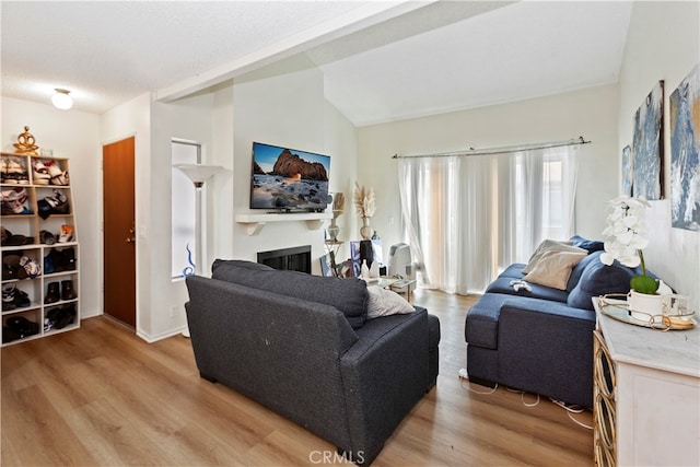 living room featuring vaulted ceiling and light hardwood / wood-style flooring