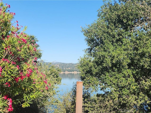 8139 Smith Point Rd, Bradley CA, 93426 land for sale