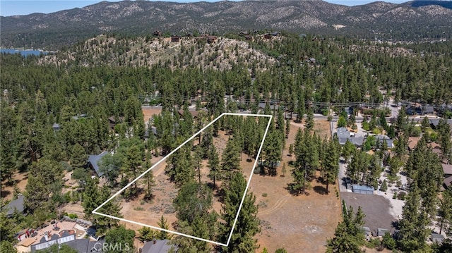 Listing photo 2 for 0 Fox Farm Rd, Big Bear Lake CA 92315