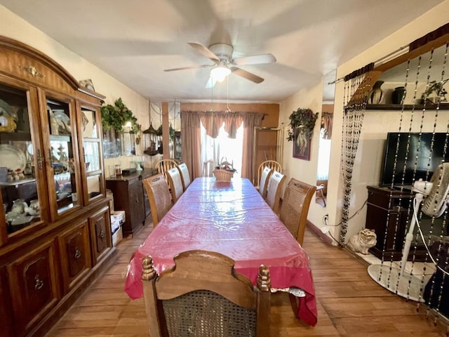 dining room with ceiling fan and light wood-type flooring